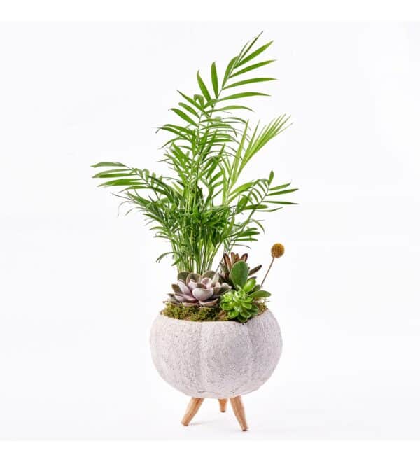 luxgreengarden1_n.jpg