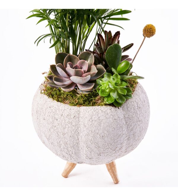 luxgreengarden2_n.jpg
