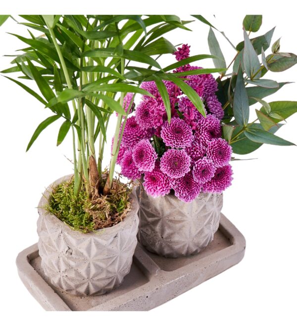 mix-green-garden4_n.jpg