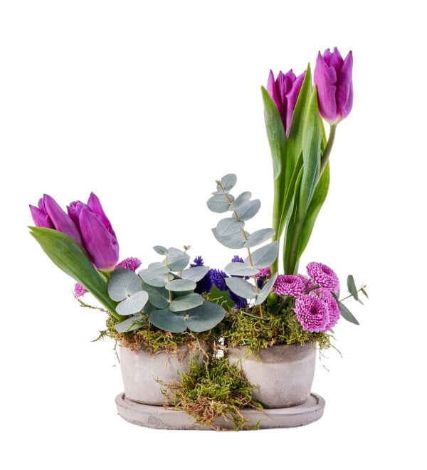 mix-purple-lale1_n.jpg