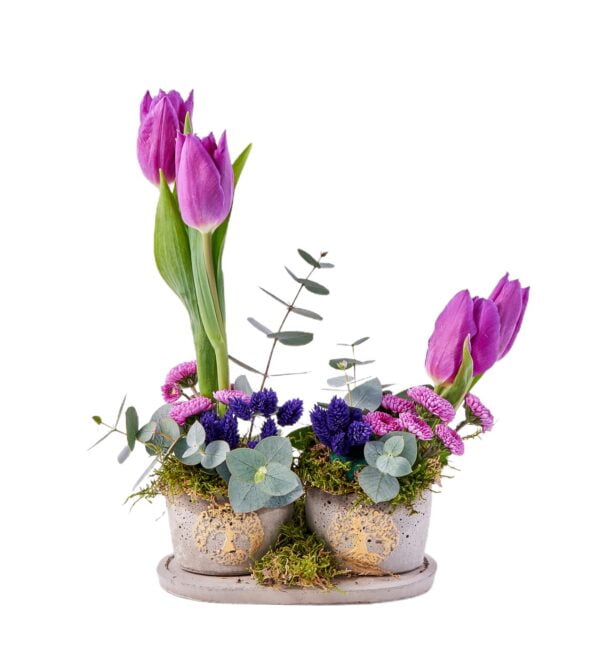mix-purple-lale2_n.jpg