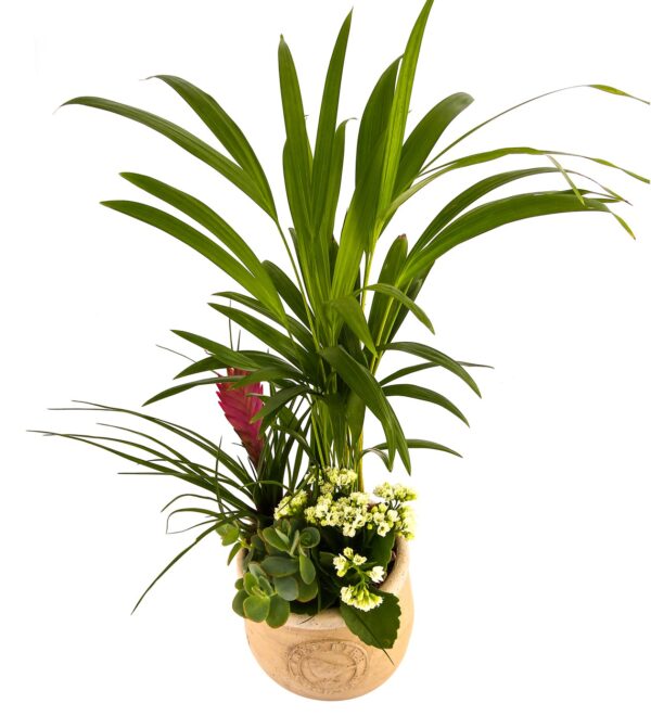 mygreenworld2_n.jpg
