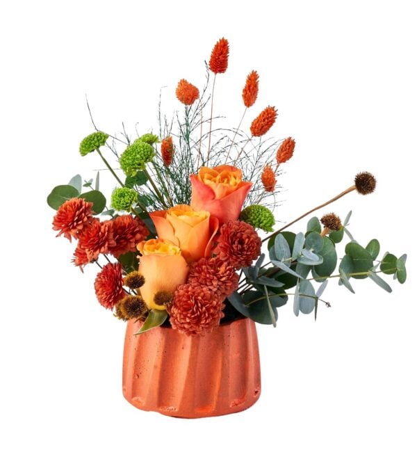 orange-dream-box1_n.jpg