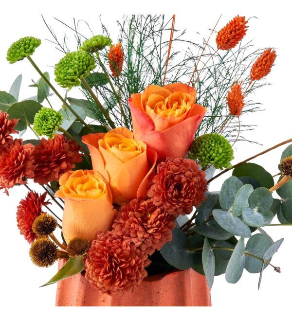 orange-dream-box2_n.jpg