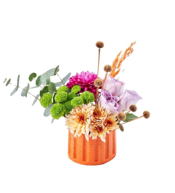 orangebloom1_n.jpg