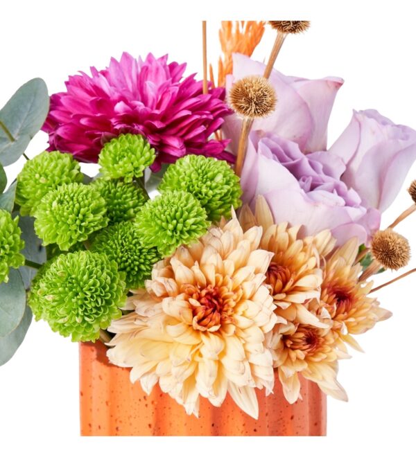 orangebloom2_n.jpg