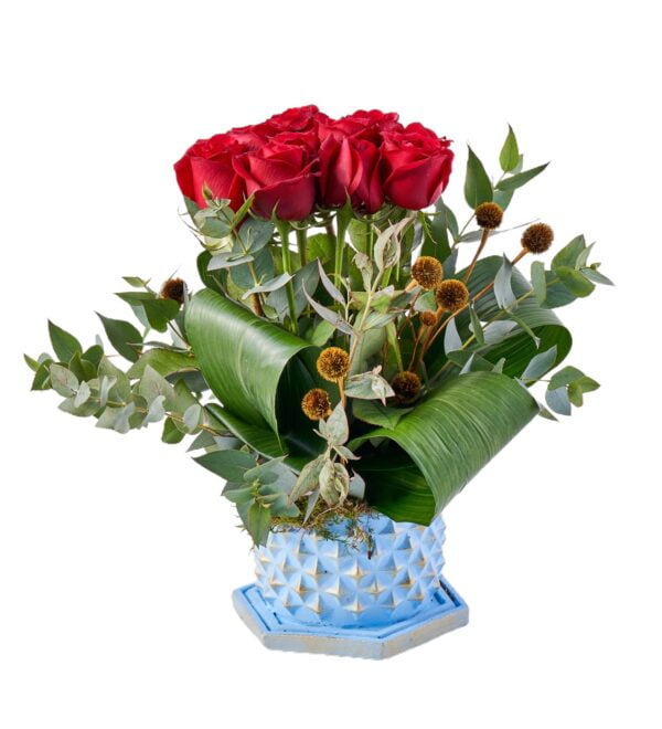 red-beauty2_n.jpg