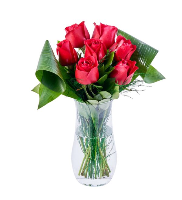 red-roses-bloom1_n.jpg