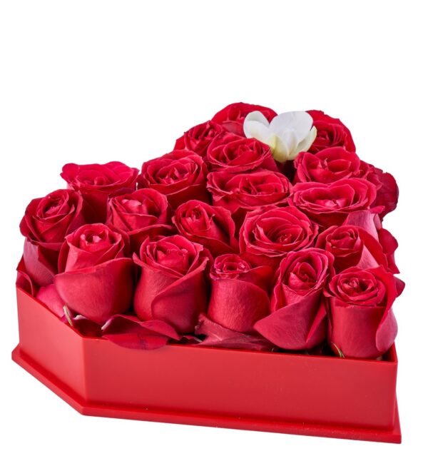 redlovebox2_n.jpg