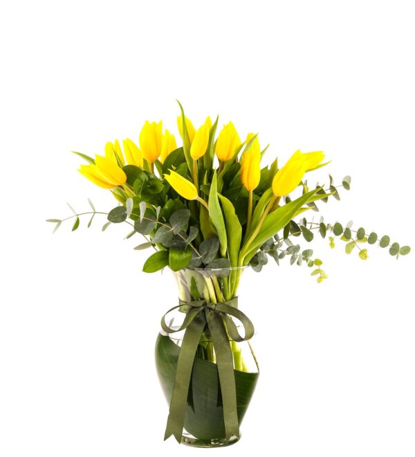 yellowqueenslale1_n.jpg