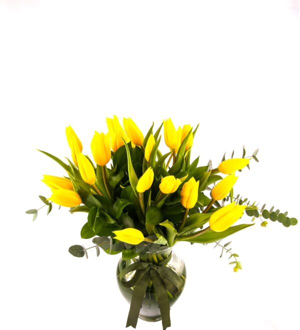 yellowqueenslale2_n.jpg